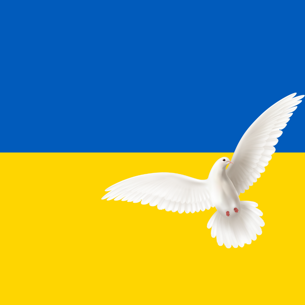 Ukraine: Friedensdemos in der Region – Antenne Unna Ukraine: Friedensdemos in der Region – Antenne Unna