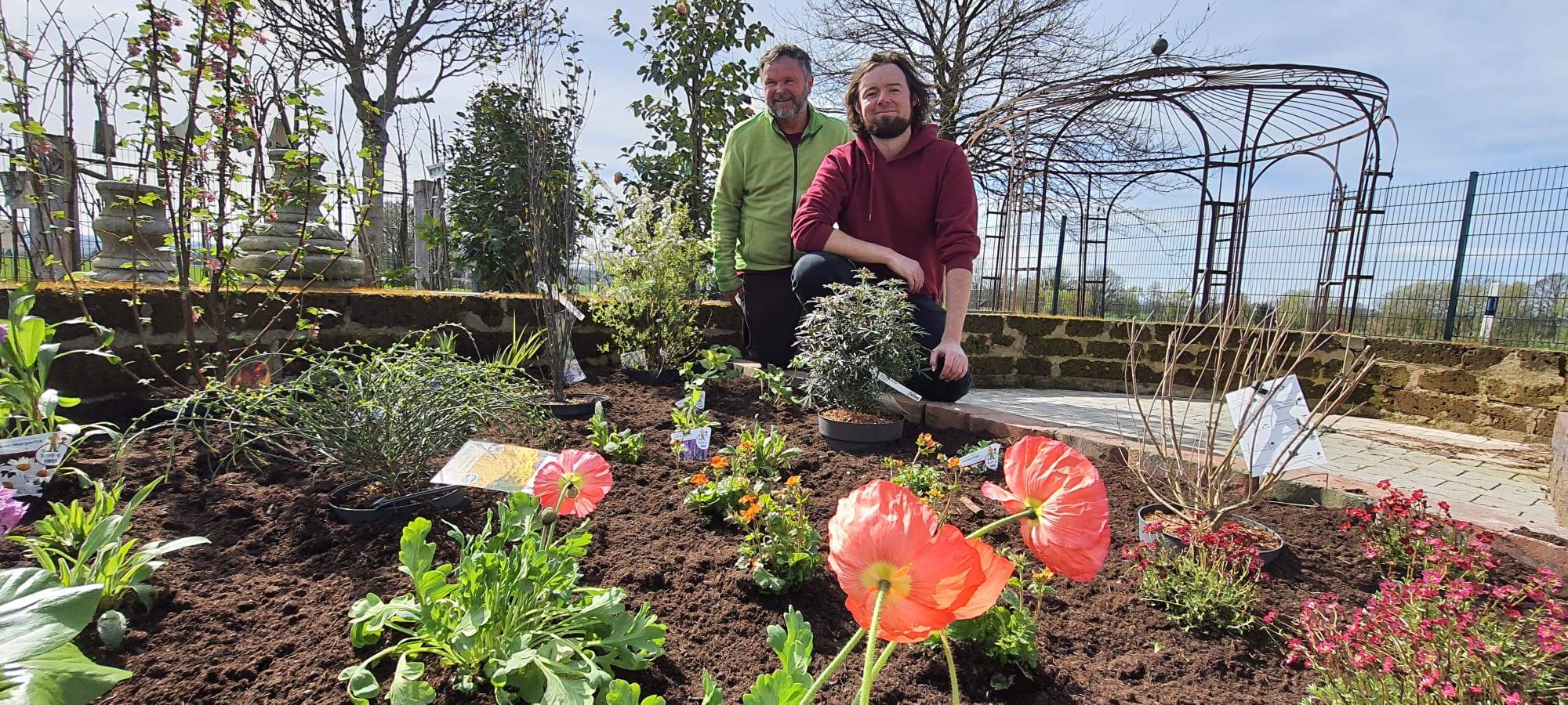 Der Antenne Unna-Garten: #03 Insektenfreundliches Staudenbeet