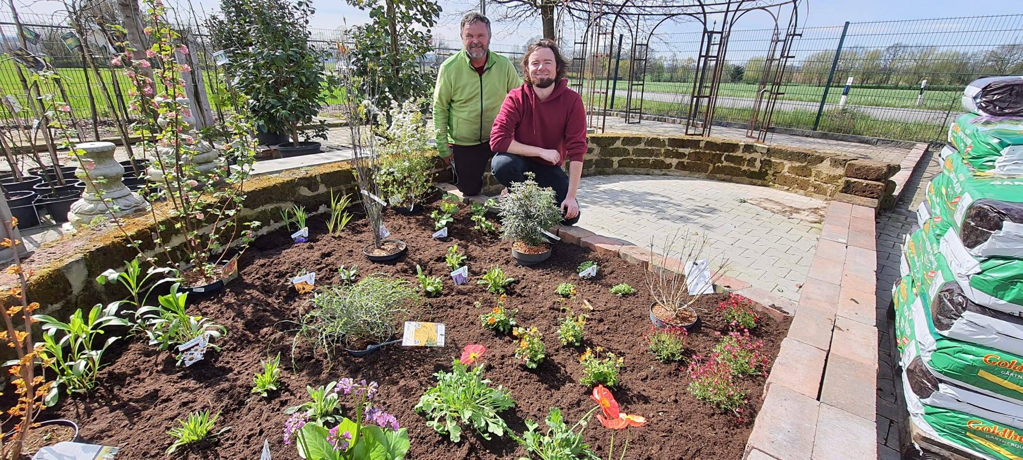 Der Antenne Unna-Garten: #03 Insektenfreundliches Staudenbeet