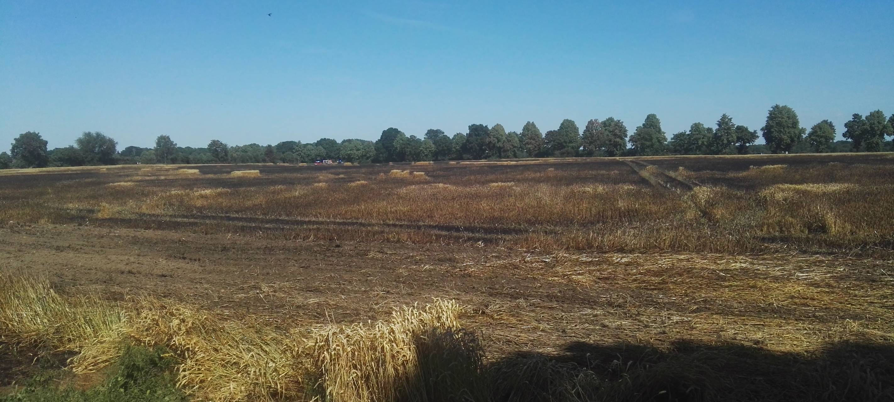 Mehrere Feldbrände beschäftigen Feuerwehr