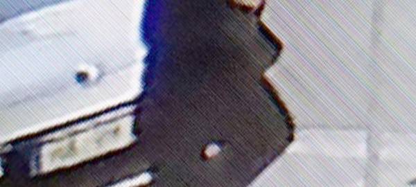 Fahndung nach Schuss