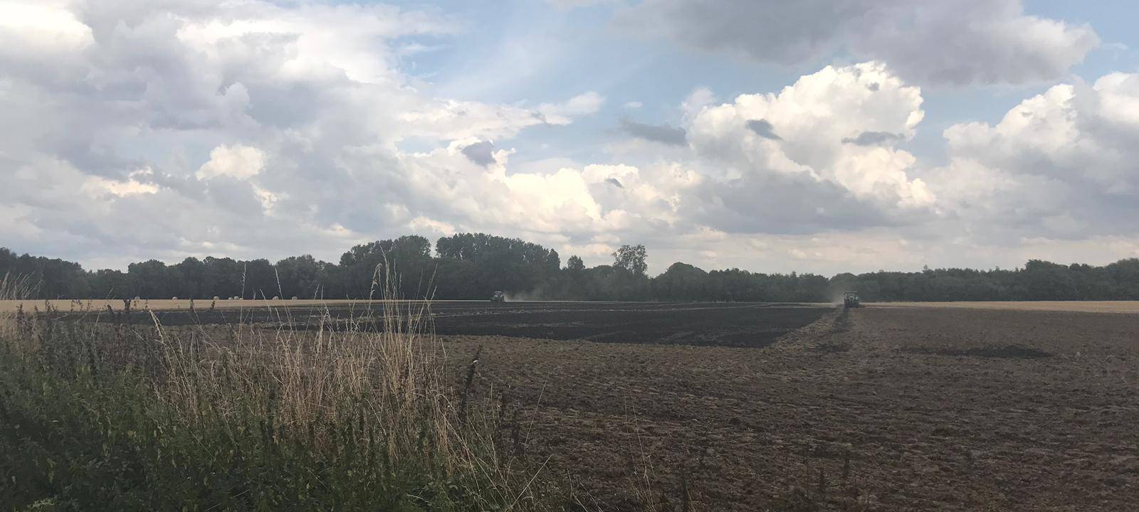 Ernte und Corona: Gewohnte Helfer fehlen