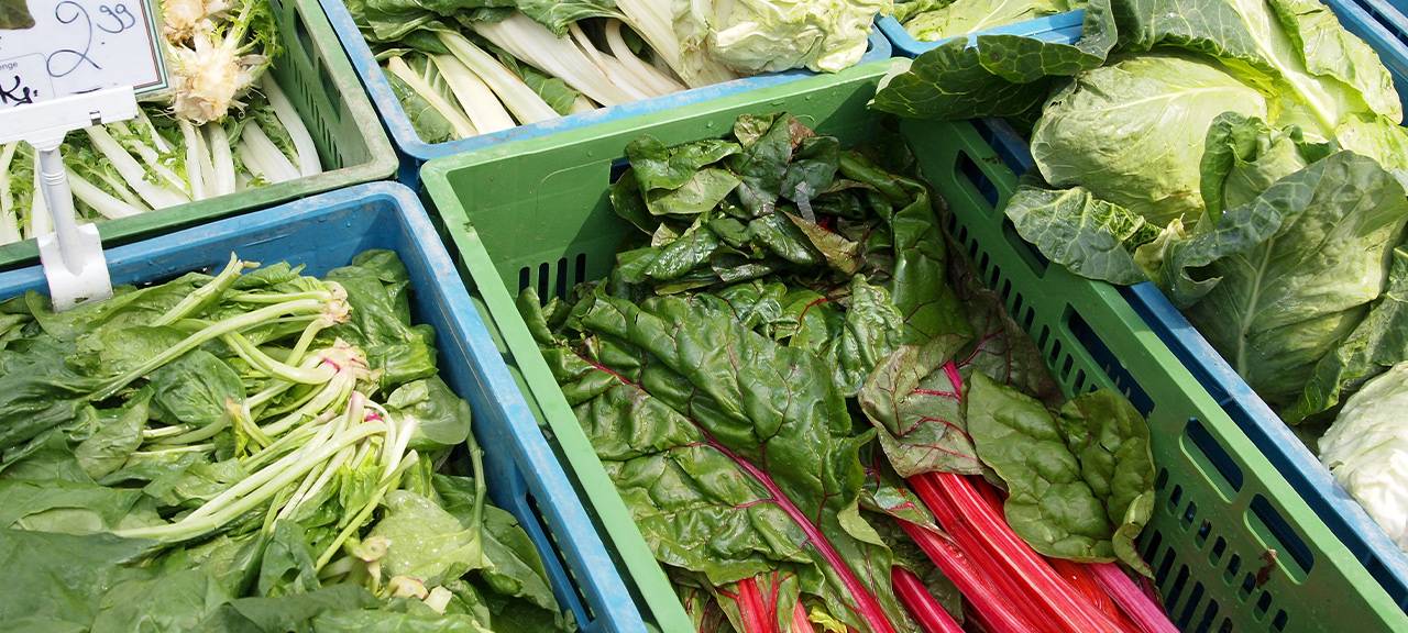 Bergkamen: Auf selbstangebautes Gemüse verzichten