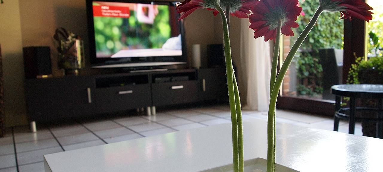 SPD schlägt Tiny Houses in Schwerte vor