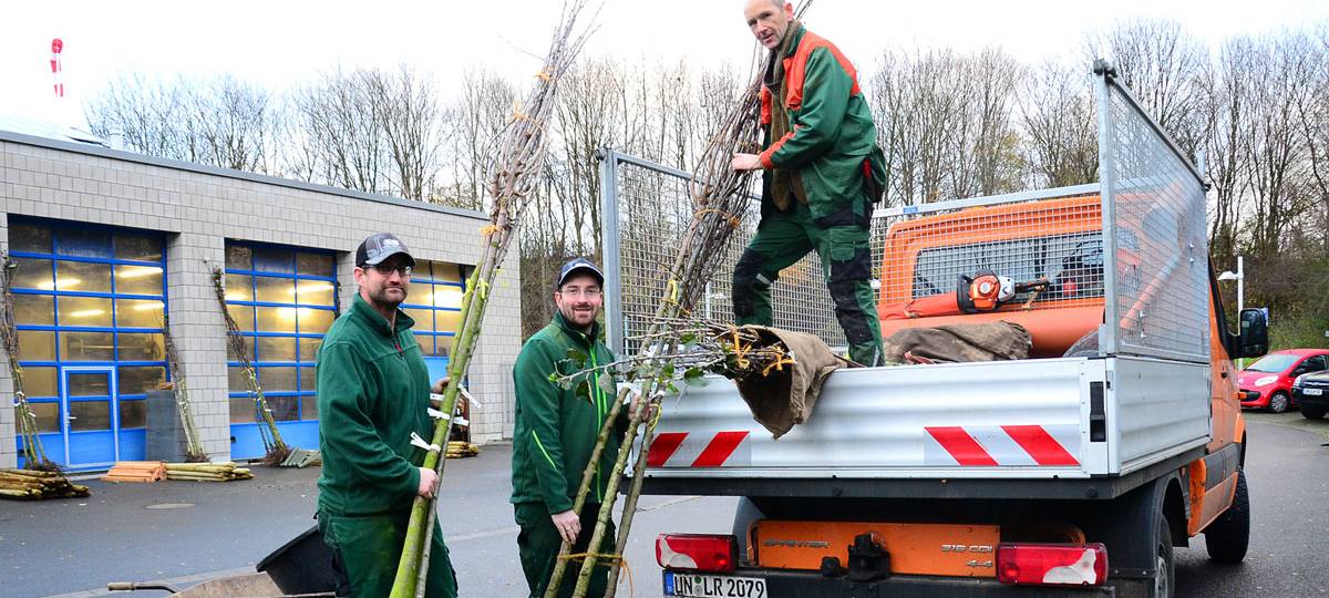 Kreis fördert Obstwiesen