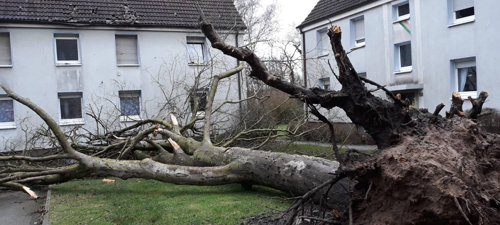 "Sabine": Probleme bei der Bahn
