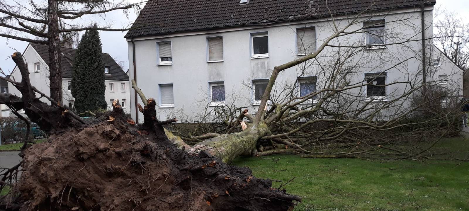 "Sabine": Probleme bei der Bahn