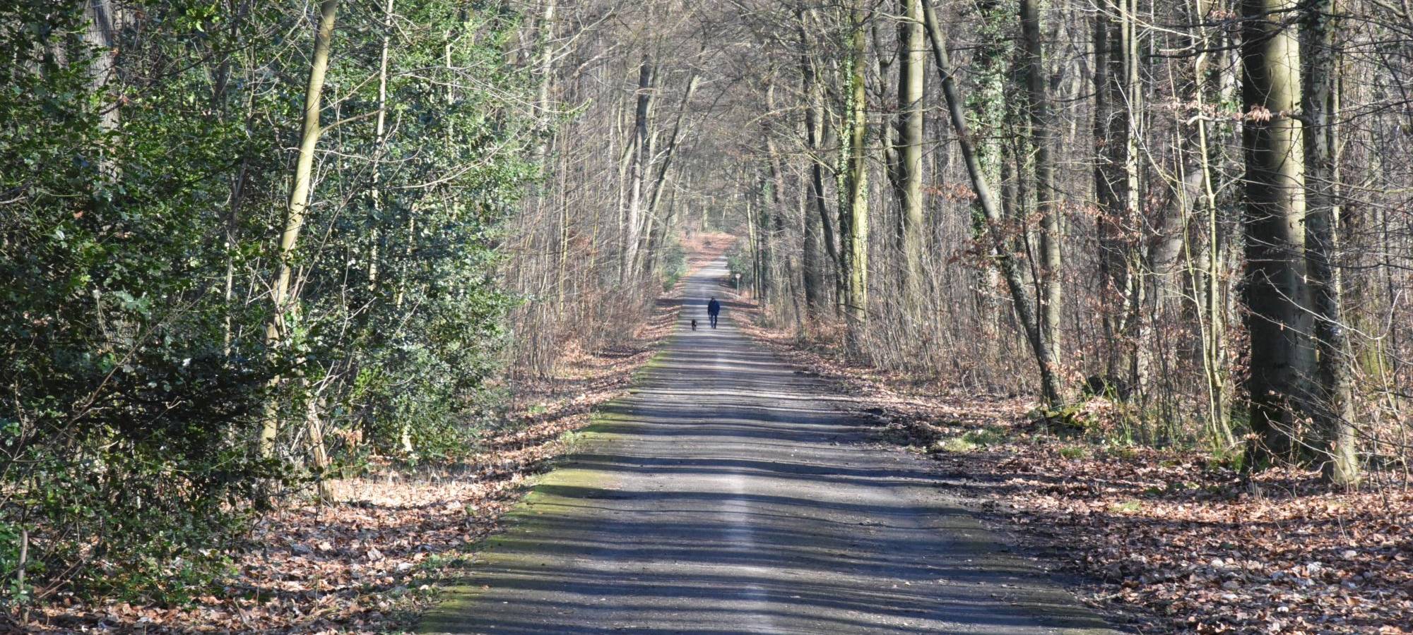 Erhöhte Waldbrandgefahr