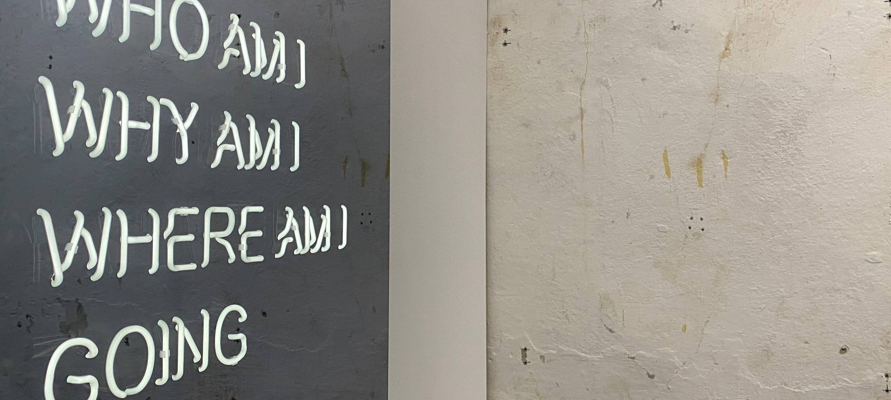 Lichtkunst in Unna: Die Ausstellung Neon Delight