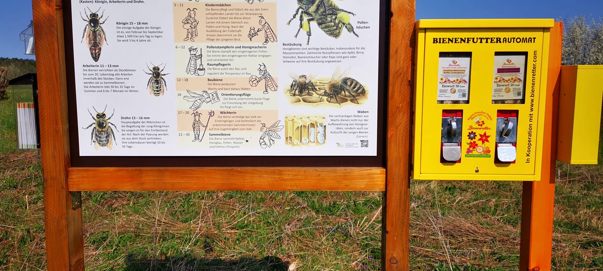 Bienenfutterautomat in der Natur