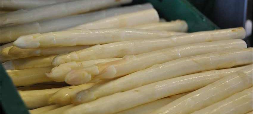 © Hof Schulze Blasum