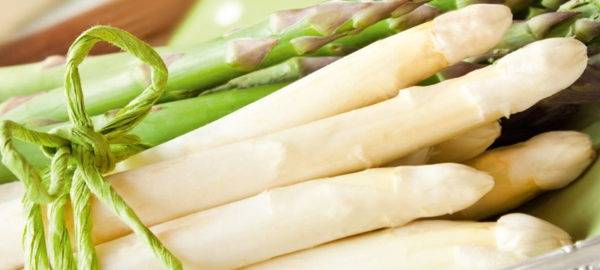 Spargel