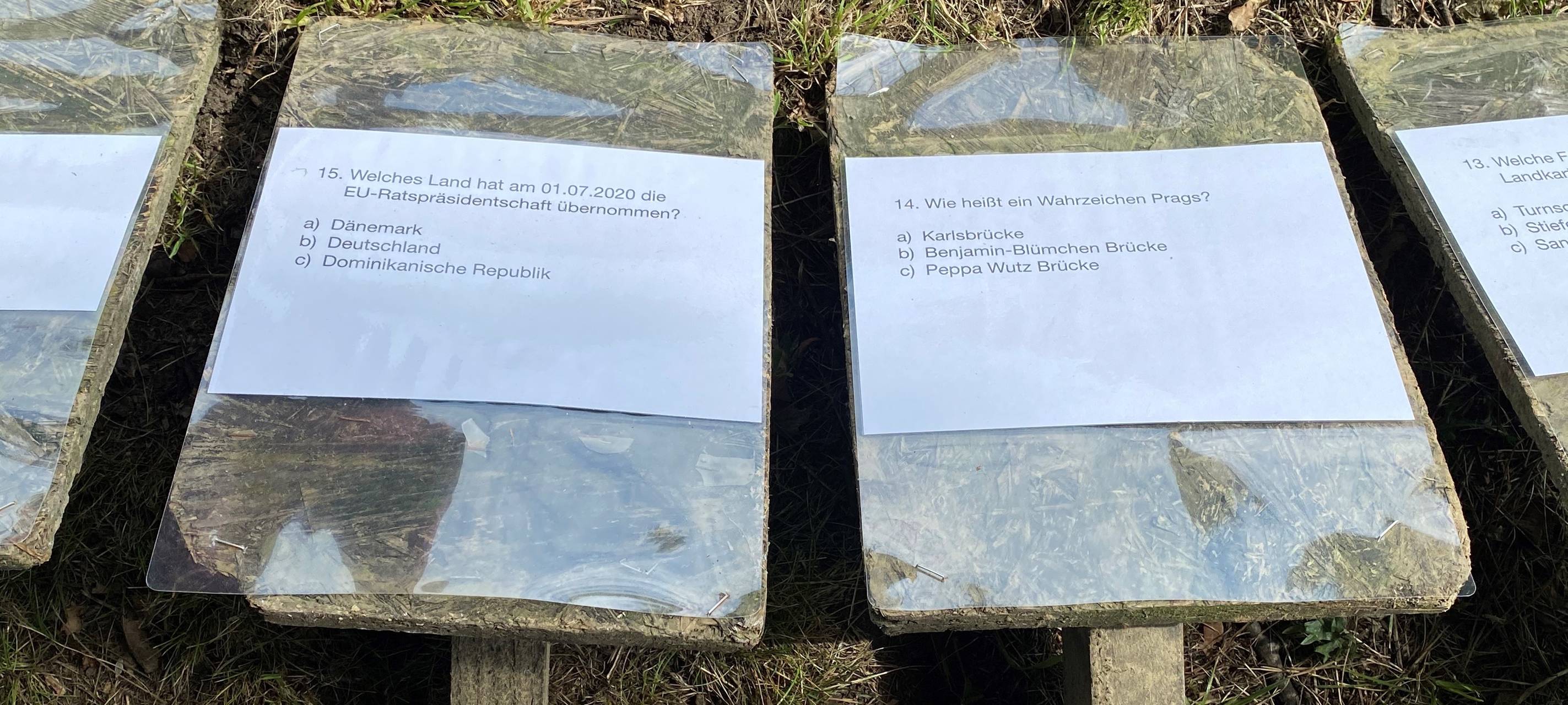 Ausflugstipp: Maislabyrinth in Selm