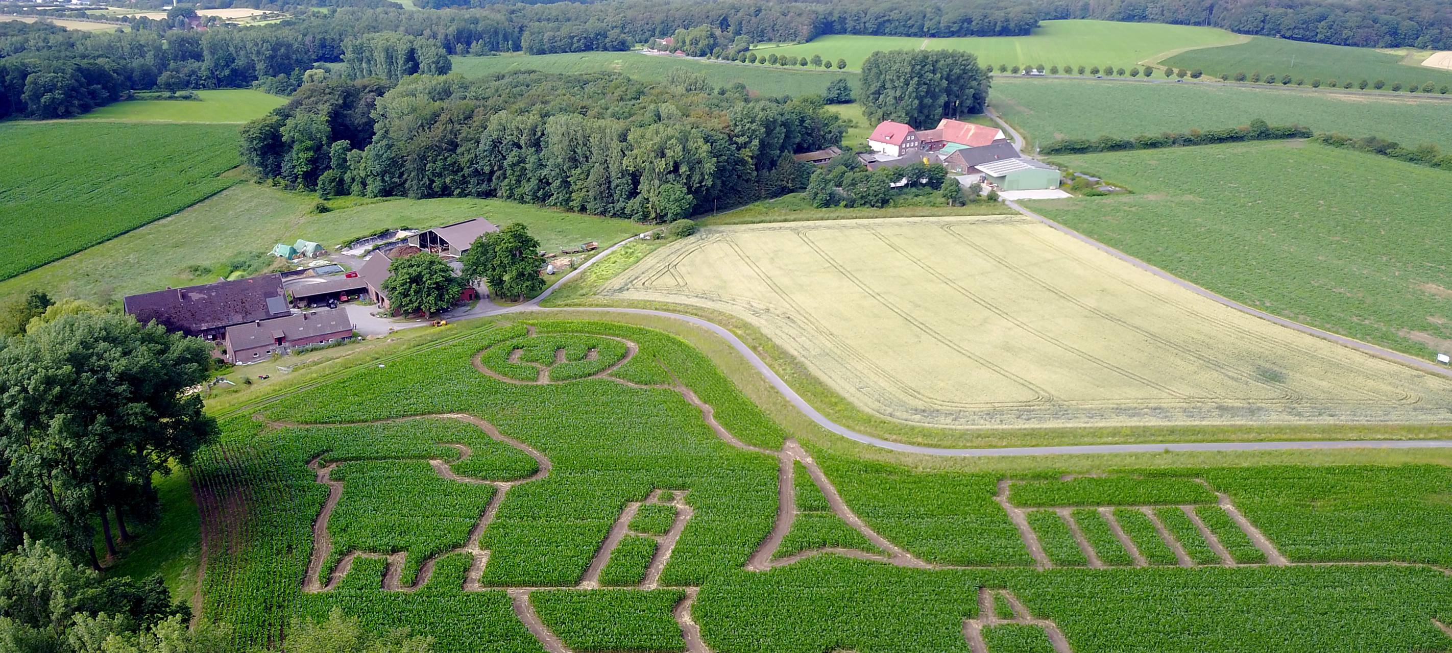 Ausflugstipp: Maislabyrinth in Selm