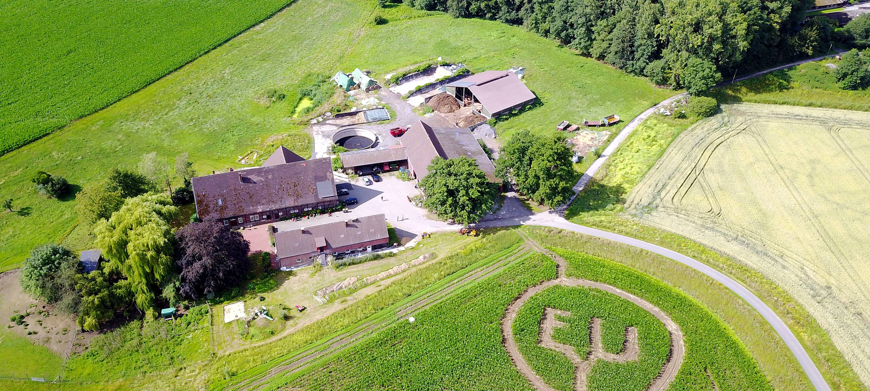 Ausflugstipp: Maislabyrinth in Selm