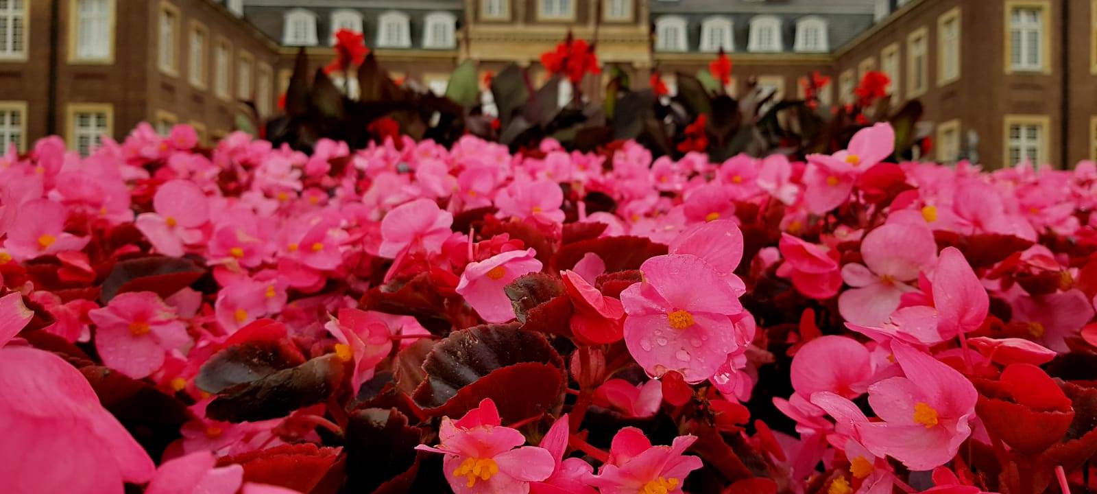 Ausflugstipp: Schloss Nordkirchen