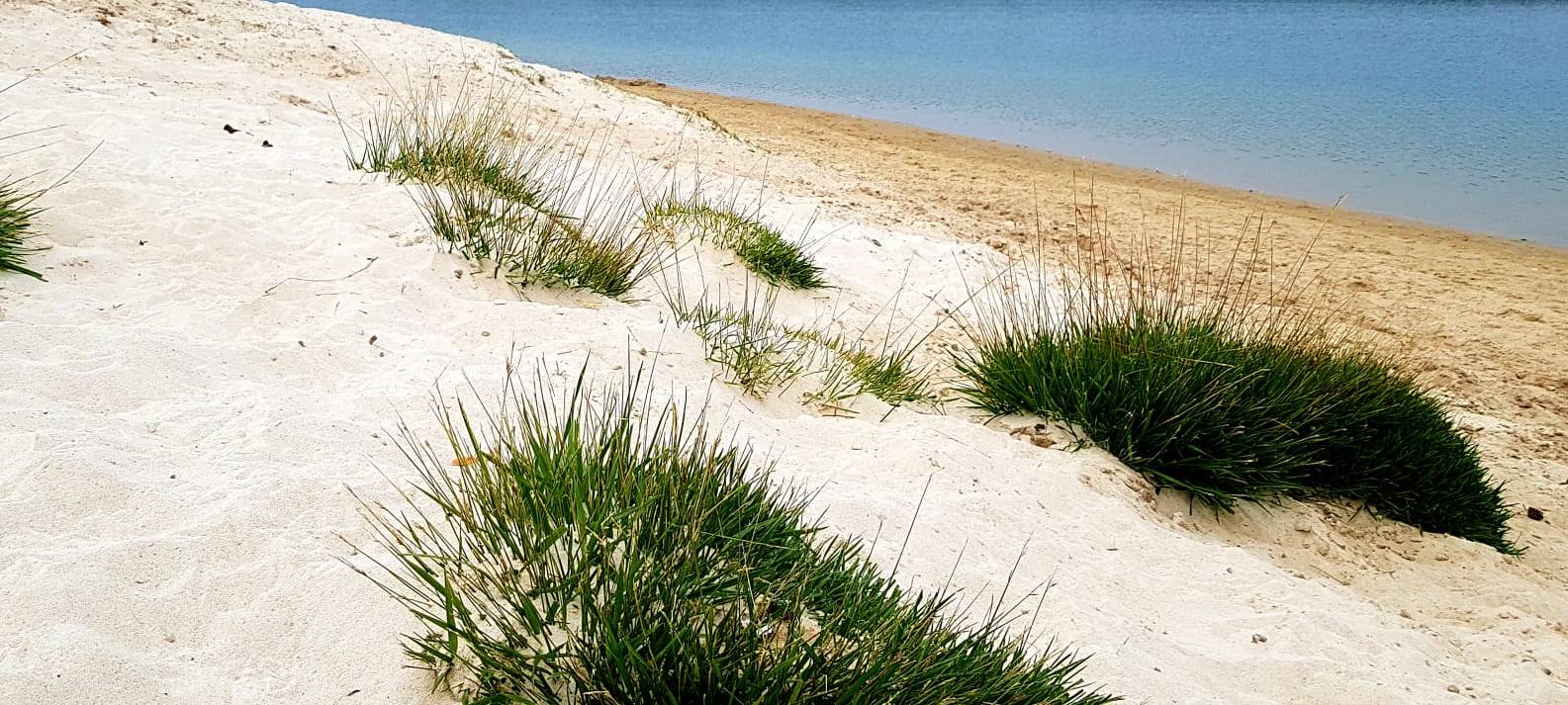 Ausflugstipp: Silbersee II in Haltern