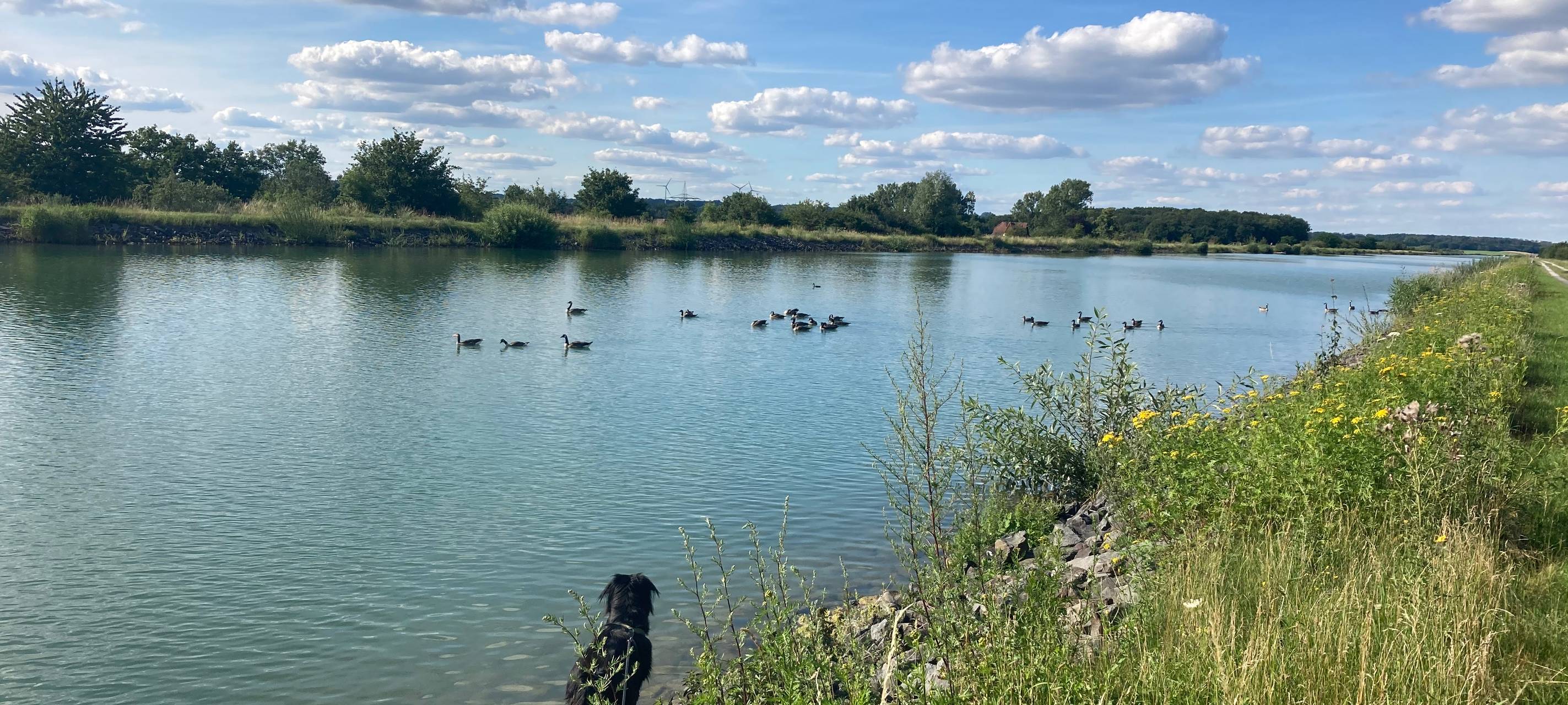 Selm: Bürgermeisterkandidat Ralf Piekenbrock, Familie