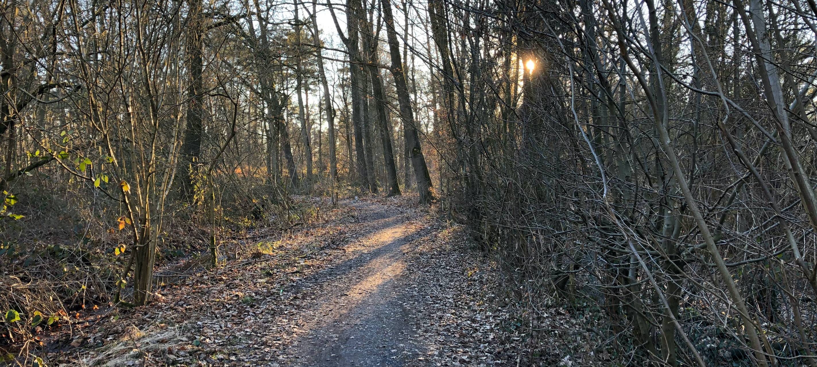 Selm: Bürgermeisterkandidat Robin Zimmermann, FDP