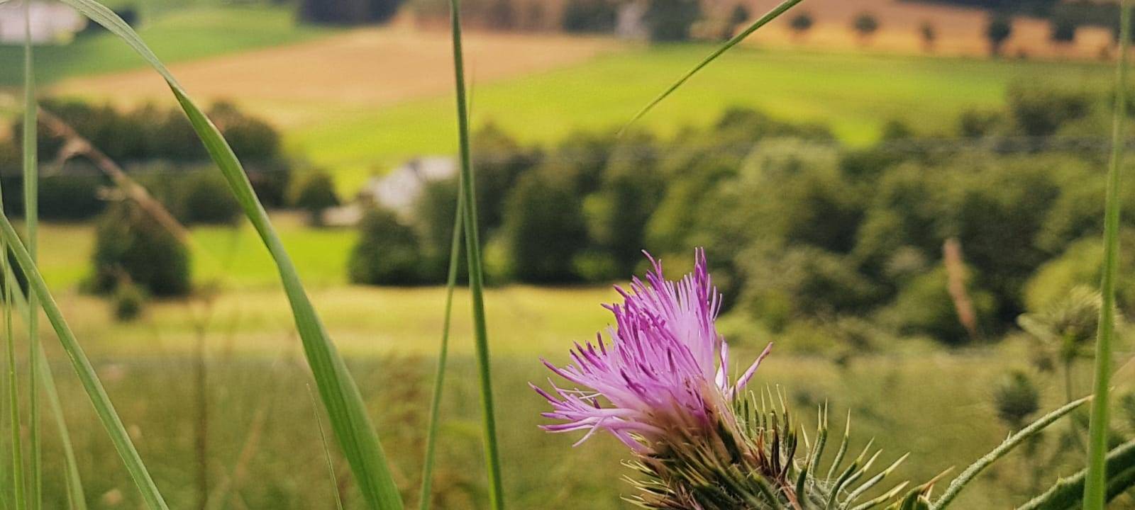 Ausflugstipp: Fröndenberger Schweiz