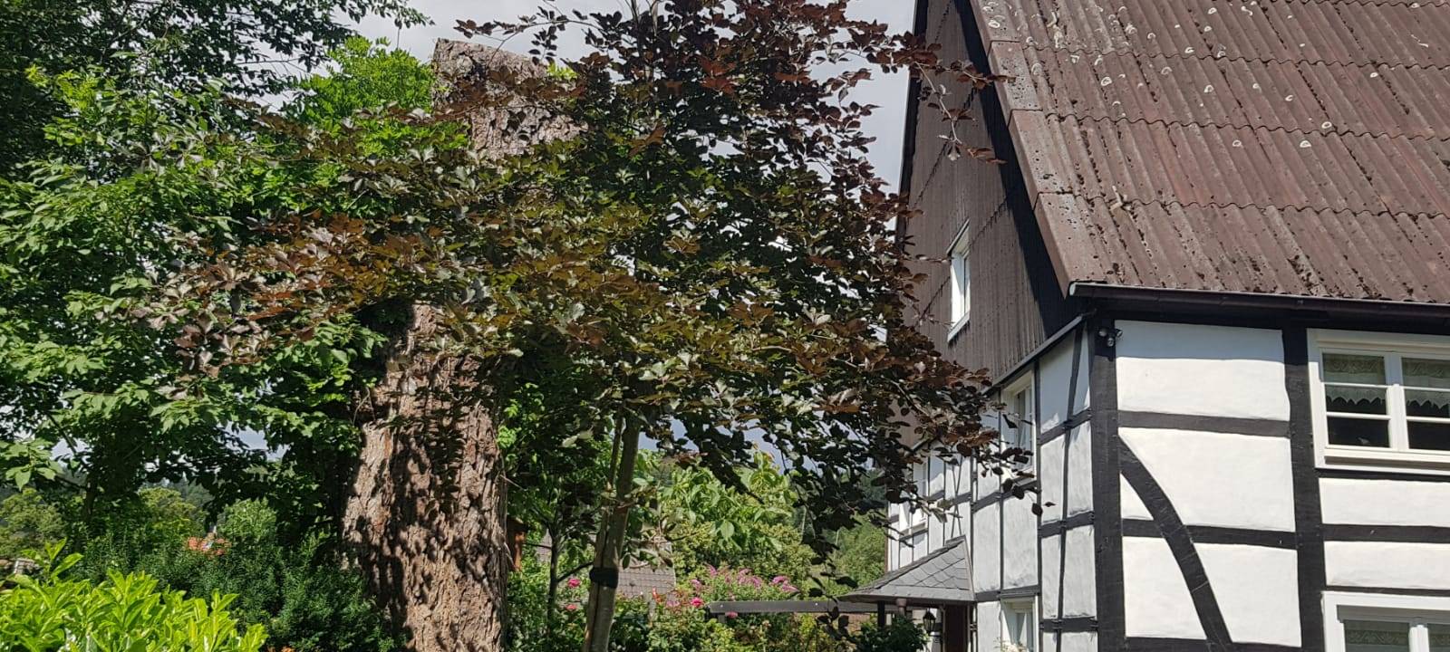 Ausflugstipp: Fröndenberger Schweiz