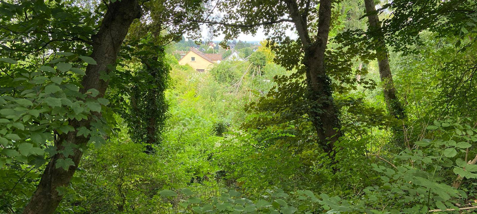 Ausflugstipp: Das Dornhöfchen in Dortmund