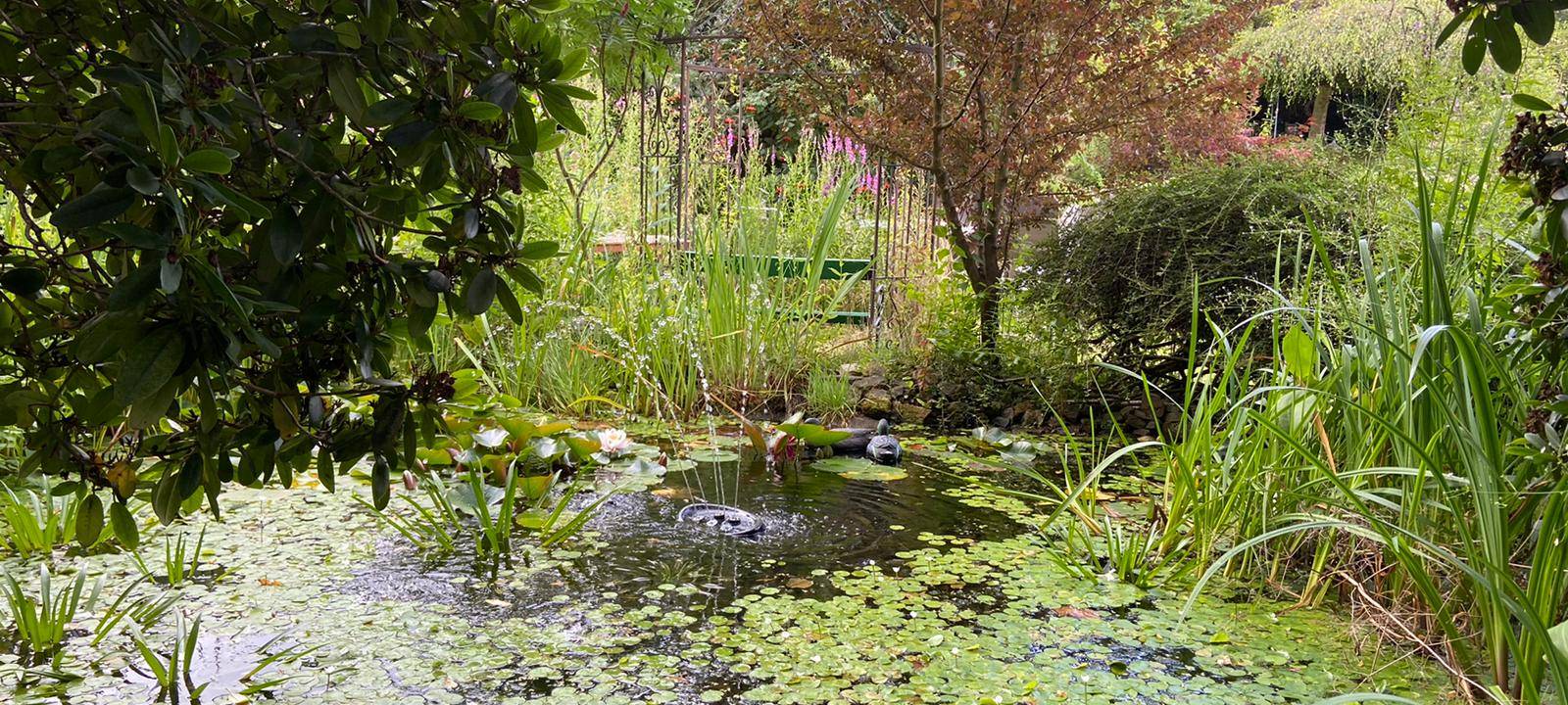 Ausflugstipp: Das Dornhöfchen in Dortmund