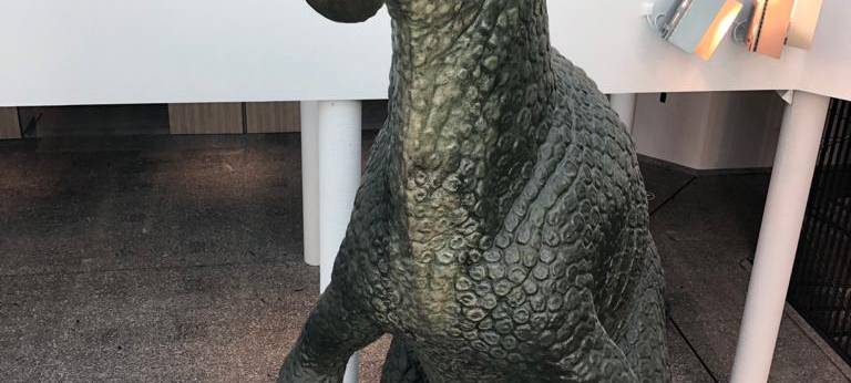 Zu Besuch im Naturmuseum Dortmund