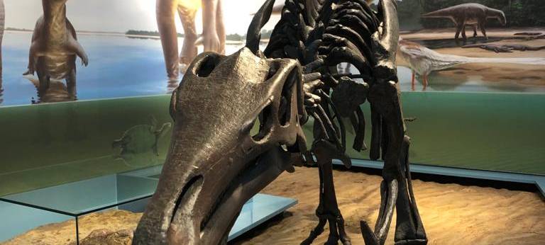 Zu Besuch im Naturmuseum Dortmund