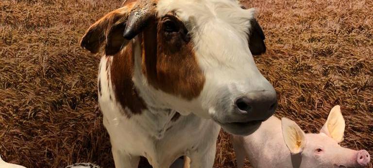 Zu Besuch im Naturmuseum Dortmund