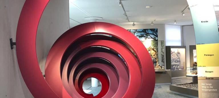 Zu Besuch im Naturmuseum Dortmund