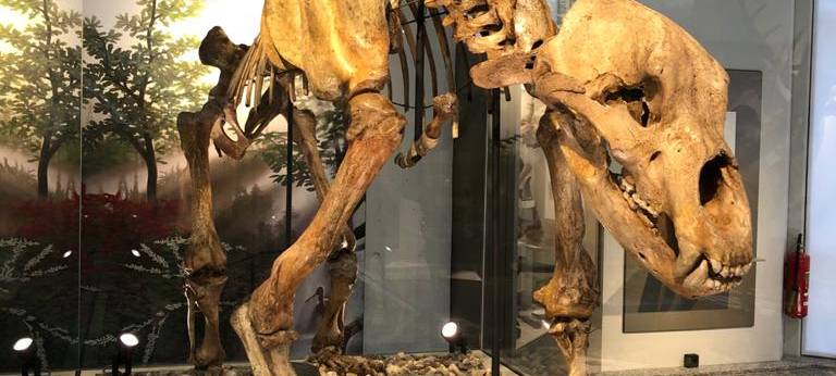 Zu Besuch im Naturmuseum Dortmund