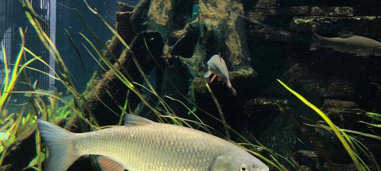 Zu Besuch im Naturmuseum Dortmund