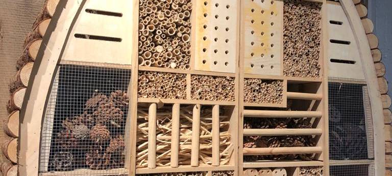 Zu Besuch im Naturmuseum Dortmund