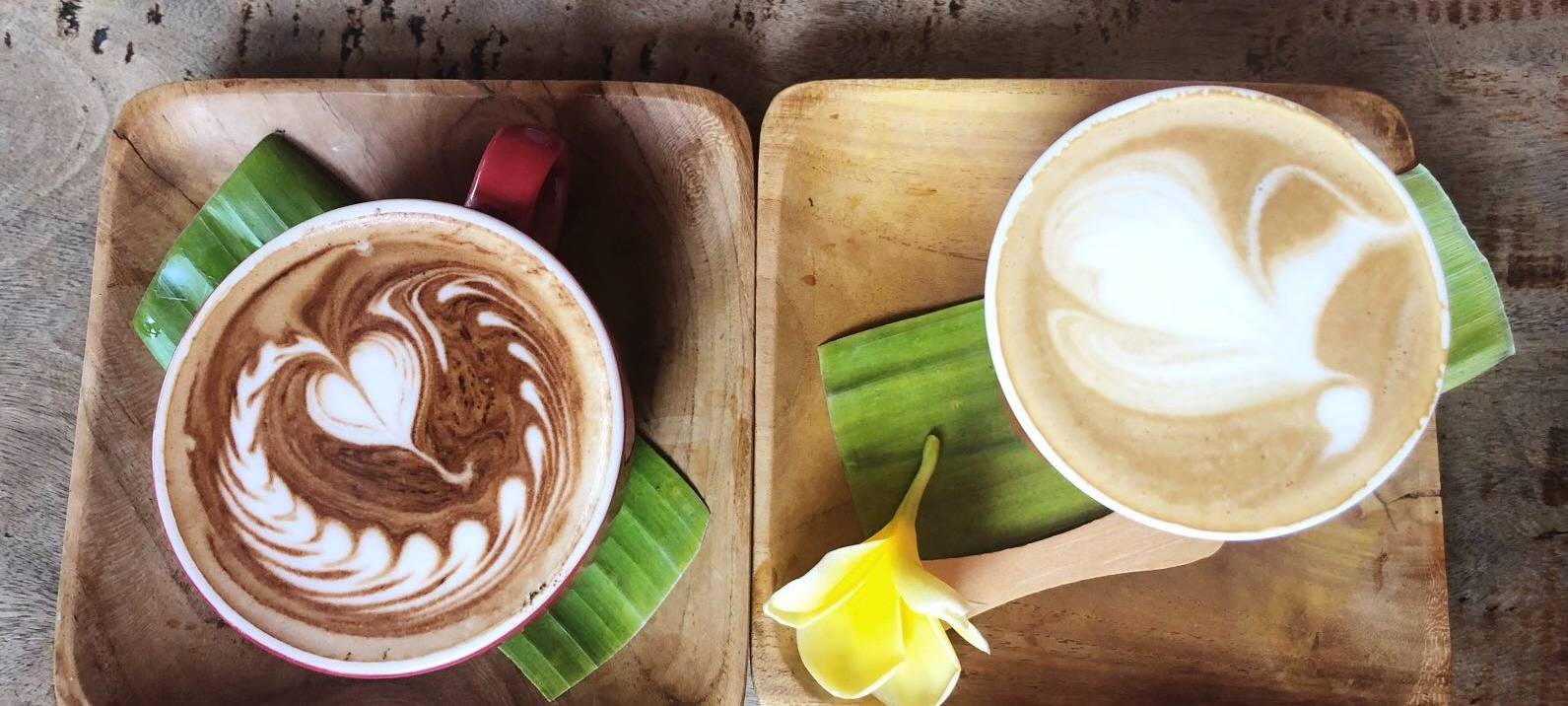 DUH fordert mehr Einsatz gegen Einweg-Verpackung