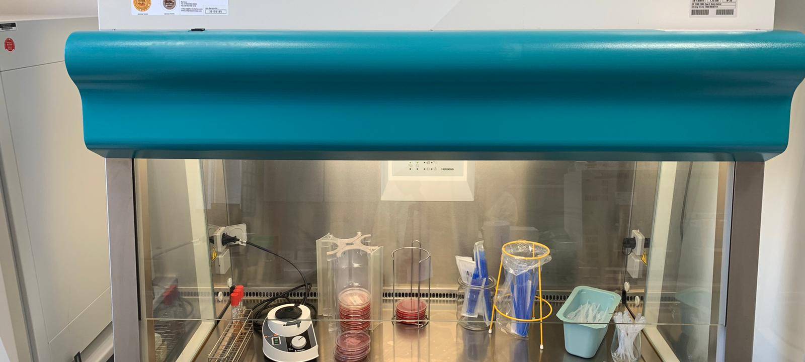 Der Weg eines Corona-Tests: Zu Besuch im Labor