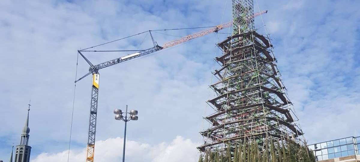 Dortmund: Weihnachtsbaum wird nicht weiter aufgebaut