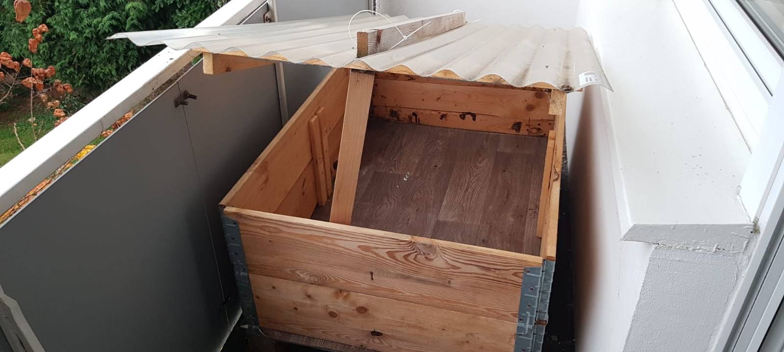 Igel: So können wir ihnen durch die kalte Jahreszeit helfen