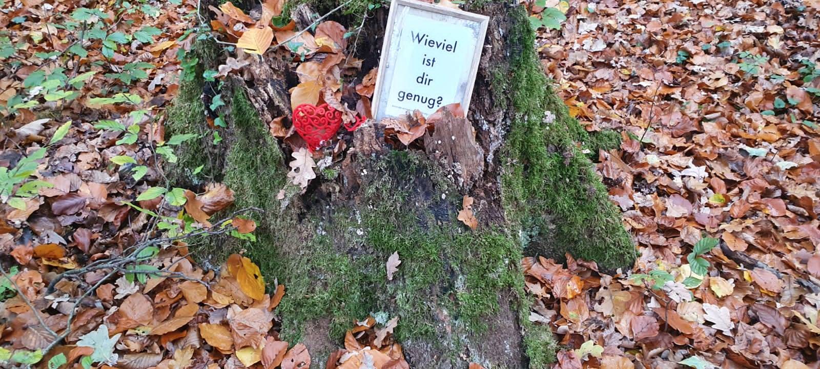 Ausflugstipp: Der Herzchenwald in Kamen