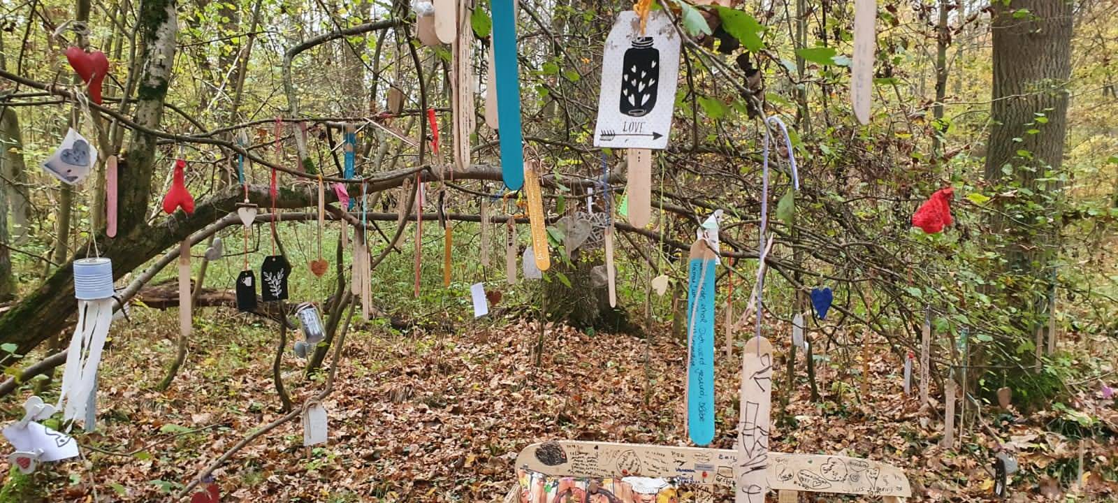 Ausflugstipp: Der Herzchenwald in Kamen