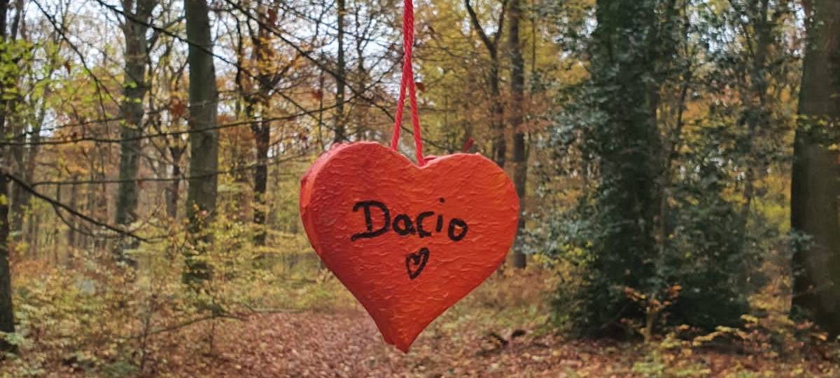 Ausflugstipp: Der Herzchenwald in Kamen