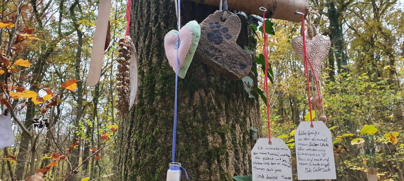 Ausflugstipp: Der Herzchenwald in Kamen