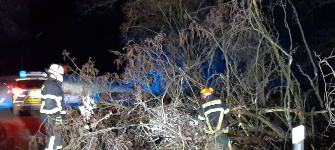 Nach Angaben der Feuerwehr hat in Holwzickede am frühen Morgen ein umgestürzter Baum auf dem Billmericher Weg ein Auto beschädigt, verletzt wurde niemand.