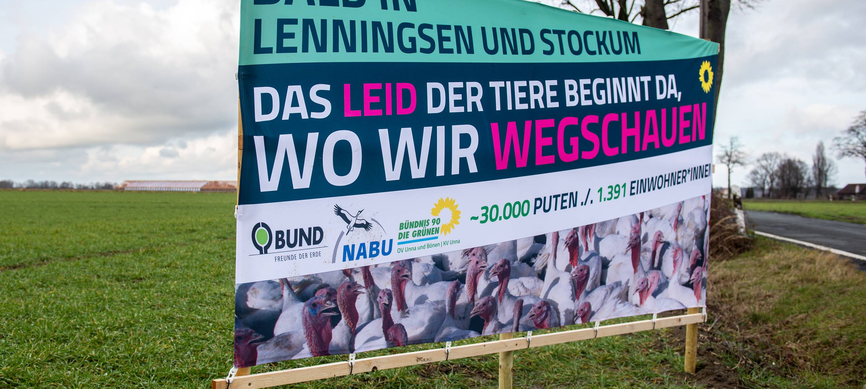 Unna/ Bönen: Eilantrag gegen Putenmastställe abgelehnt