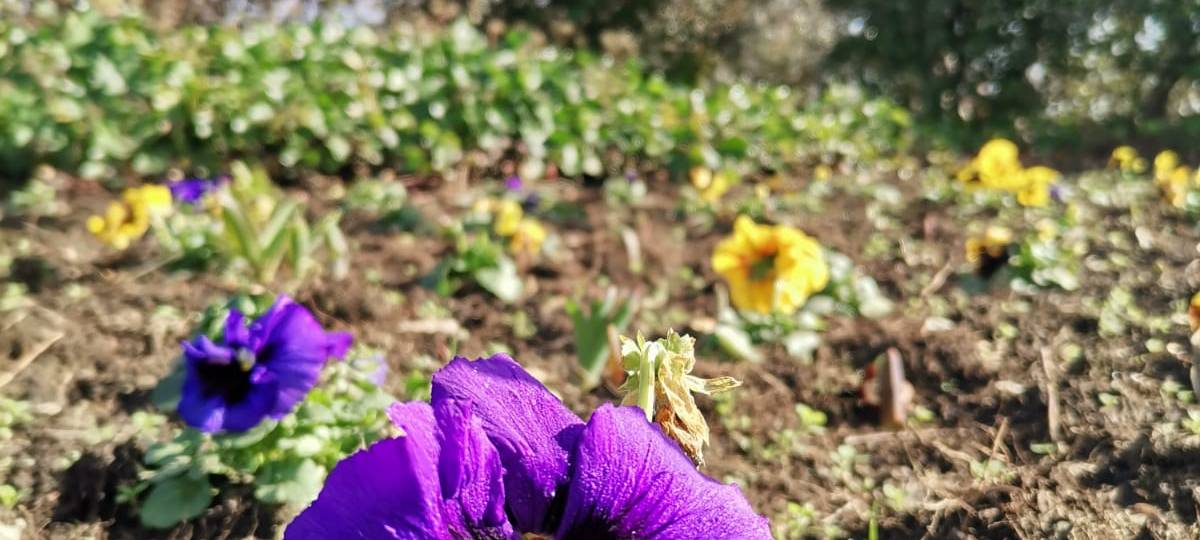 Zu Besuch im Maxipark Hamm