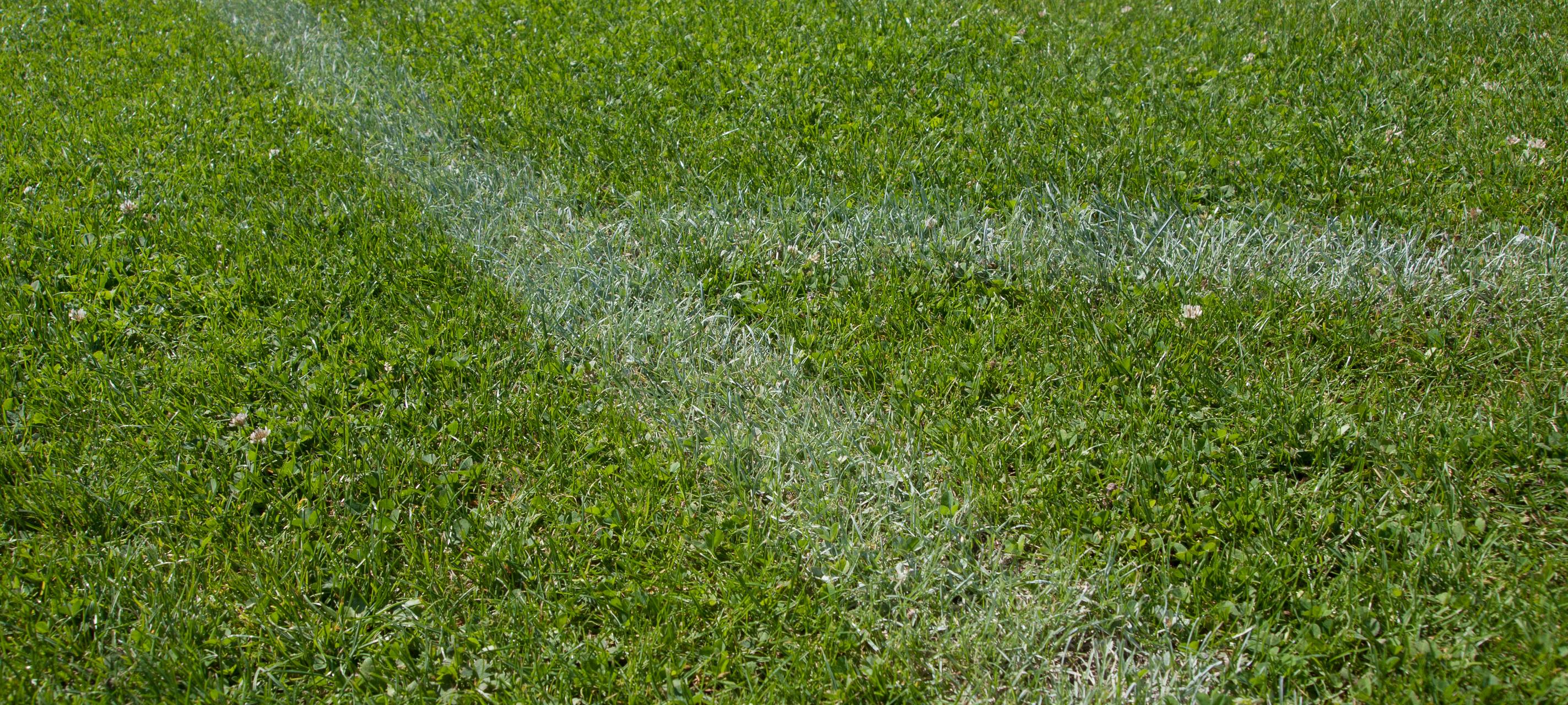 Kamen: Städtische Sportplätze werden geschlossen