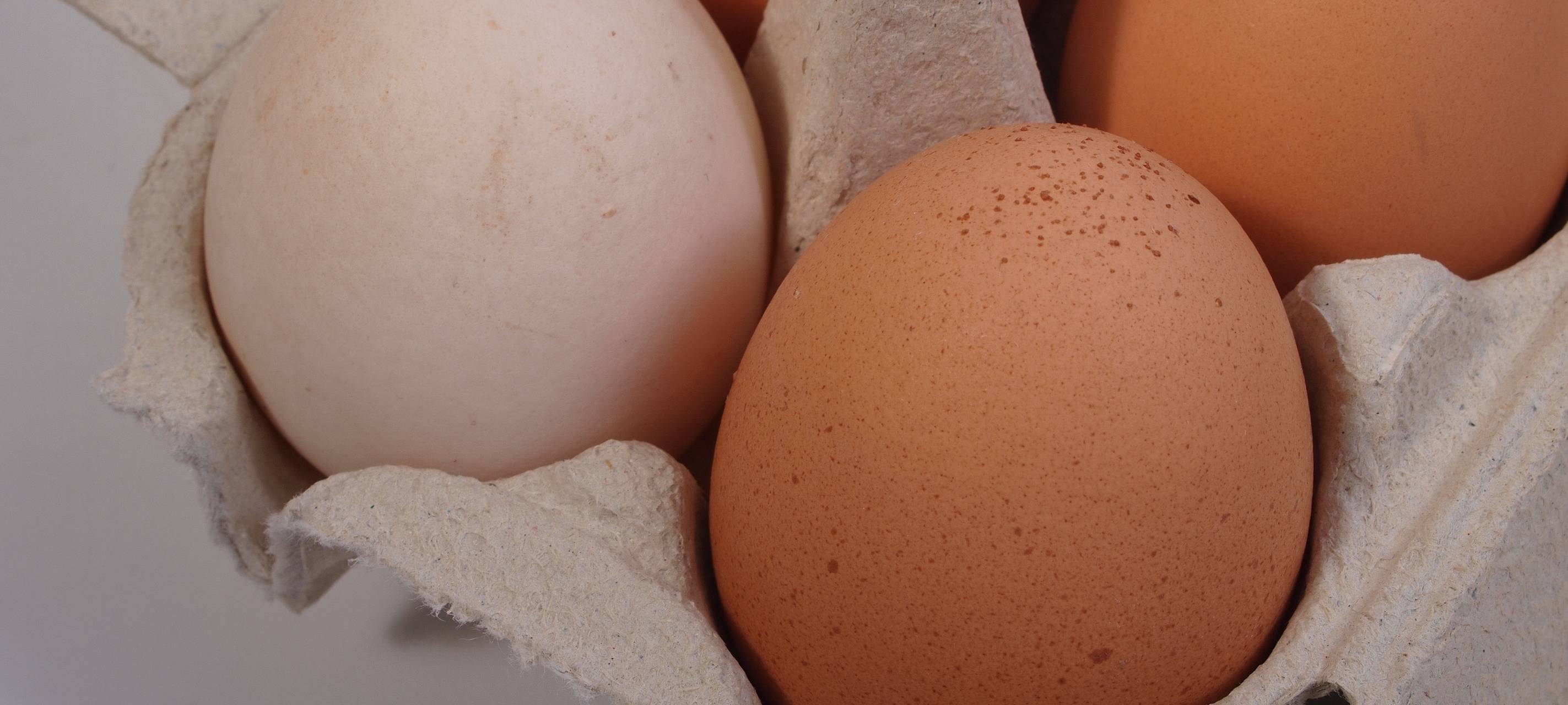 Kreis Unna kontrolliert Lebensmittel