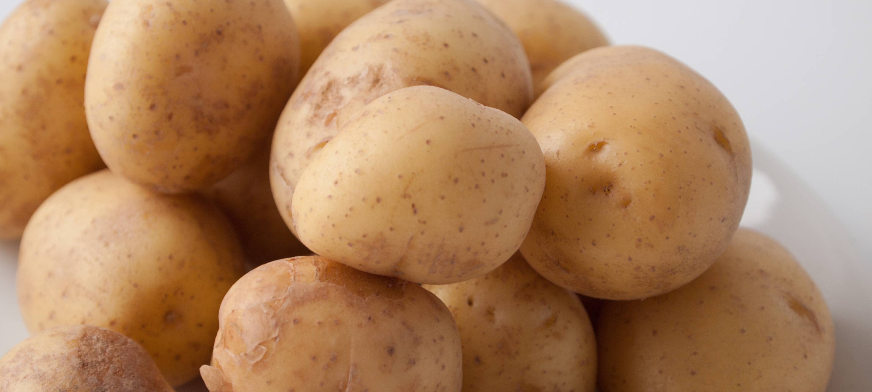 Der Antenne Unna-Garten: Kartoffeln anpflanzen