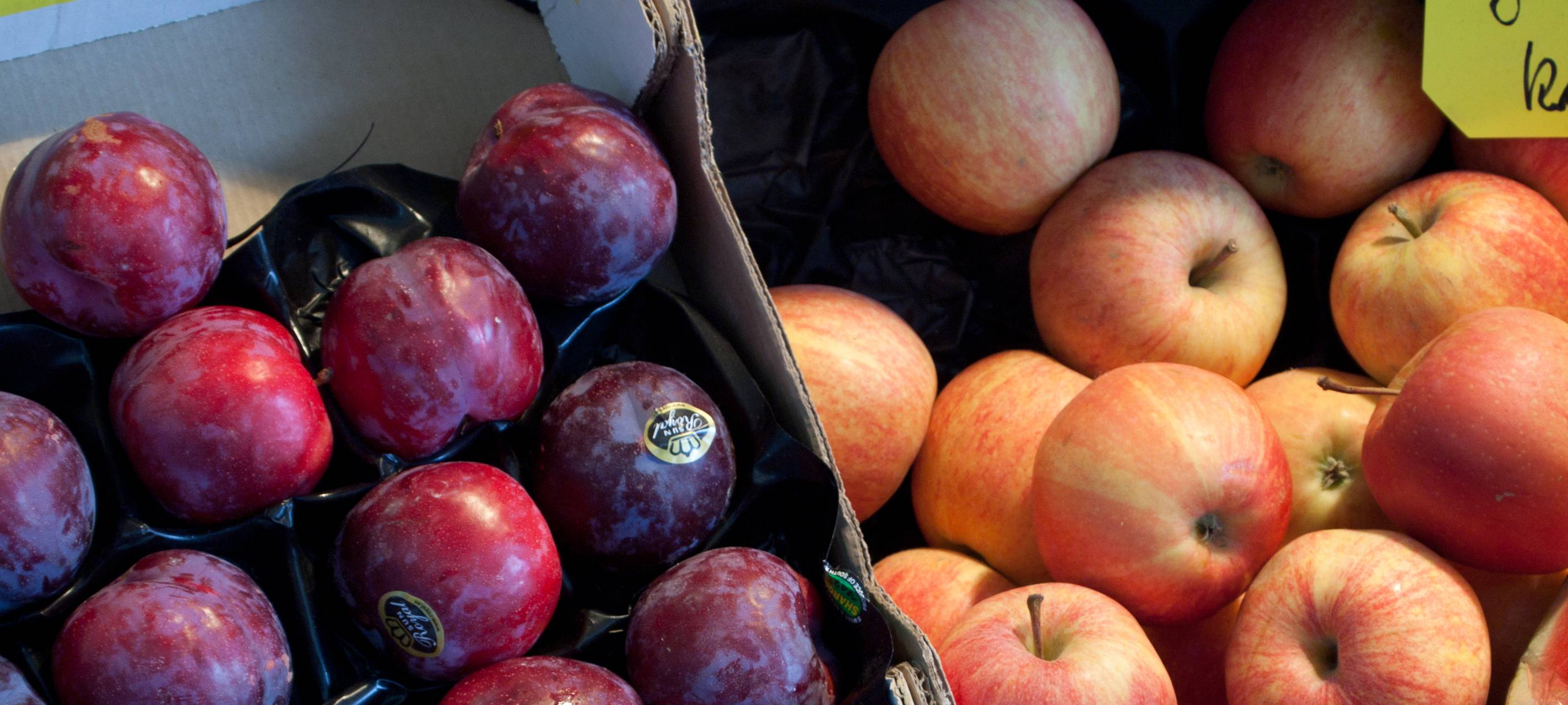 Vier Ausgabestellen dicht: Tafel hofft auf rasche Lösung