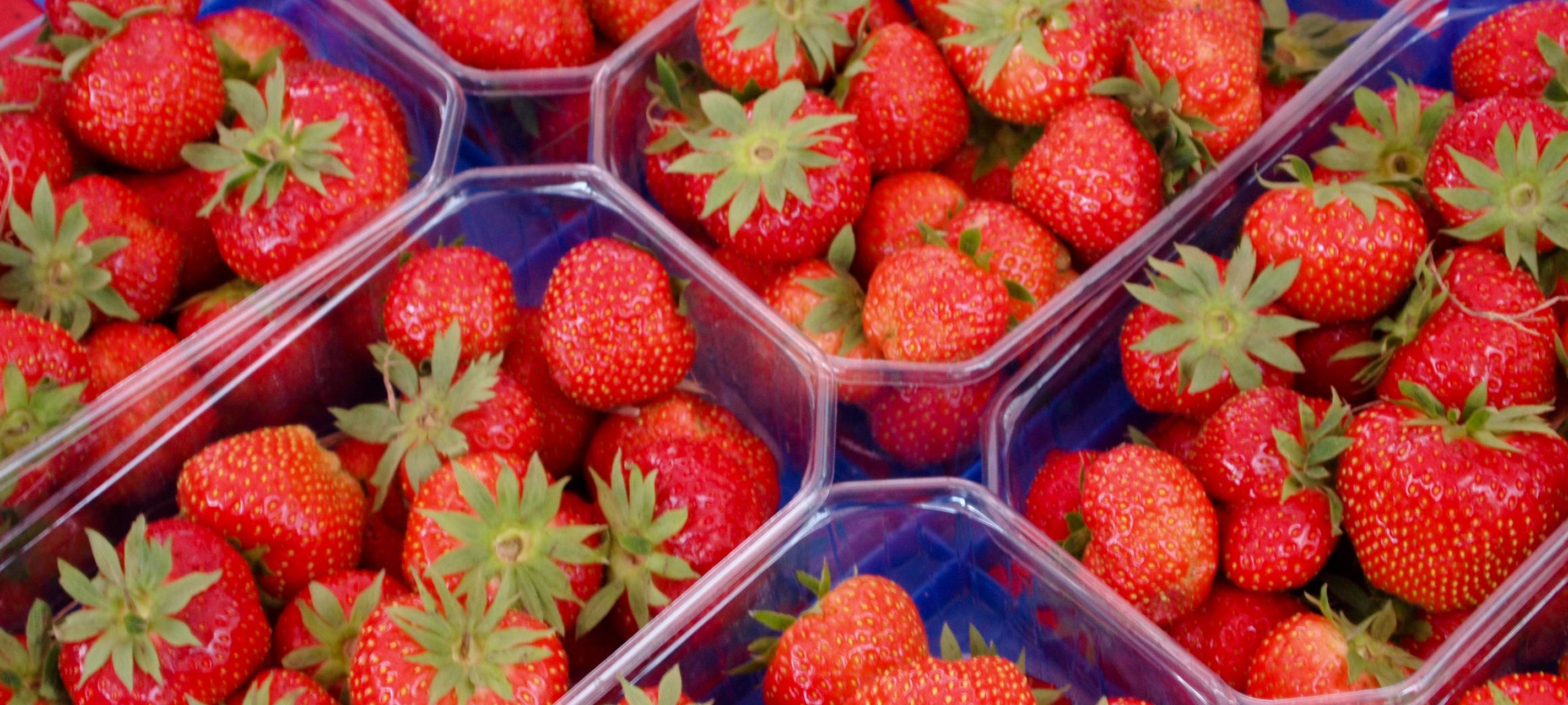 Schlechtes Geschäft mit Erdbeeren